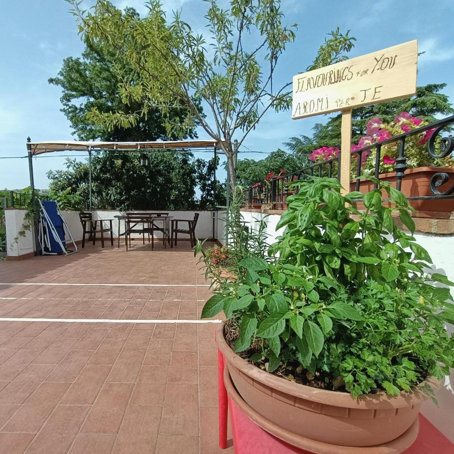 Appartamento Maria Vittoria - Morciano Di Romagna Exterior foto